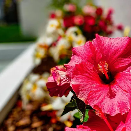 As Andorinhas - Walking Distance To Monte Clerigo And Amoreira Beaches